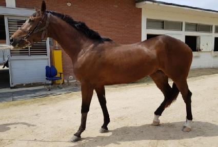 �ƶ���� ����