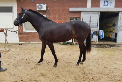 �Ծȸ��� ����