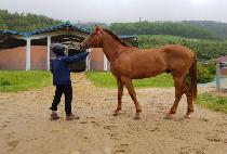 �۽�Ʈ�� (FIRST MA) ����