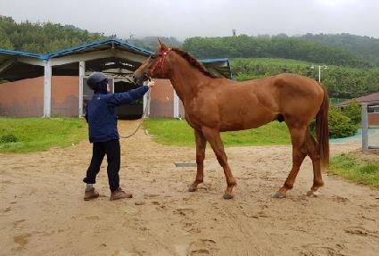 �۽�Ʈ�� ����