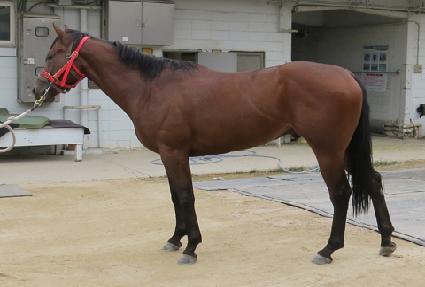 �������� ����