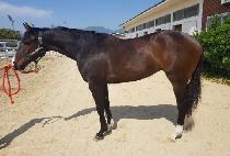 �ź��ѿ��� (SINBIHAN YEOIN) ����