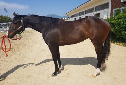 �ź��ѿ��� ����