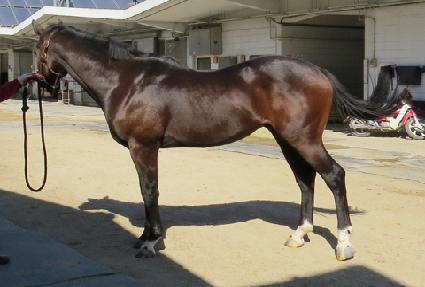 ����ħ ����