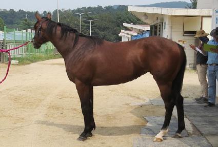 ���ζ� ����