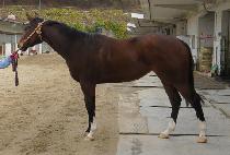 ť�ǵ忩�� (CUPID YEOWANG) ����