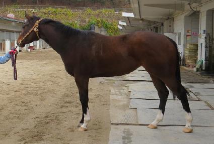 ť�ǵ忩�� ����