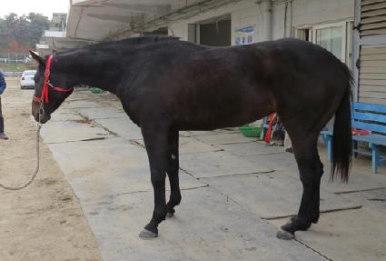 ������� ����