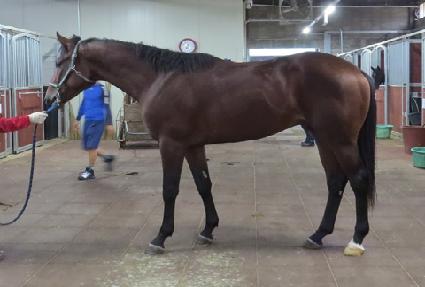 ���ǻ����� ����