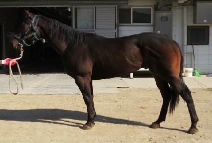 �ٴ����� ����