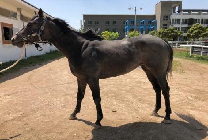 ����õ�� ����