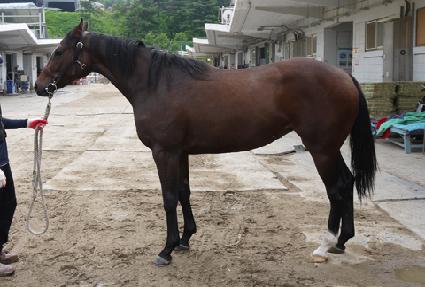 ��ũ���� ����