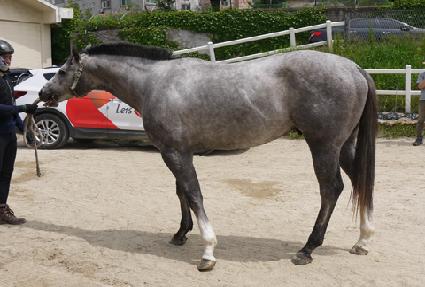 �Ѽ������̵� ����