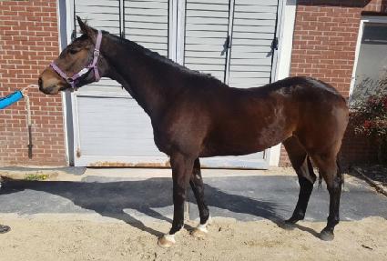 ���οȣ ����