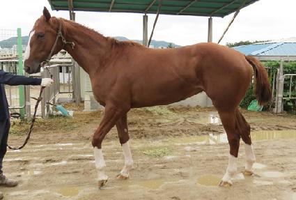 �˸��ٹ��� ����