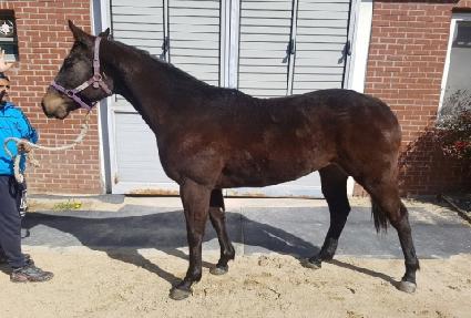 ���������� ����