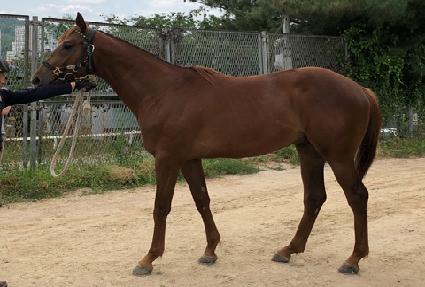 ���̽� ����