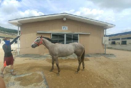 ���ϳ��� ����