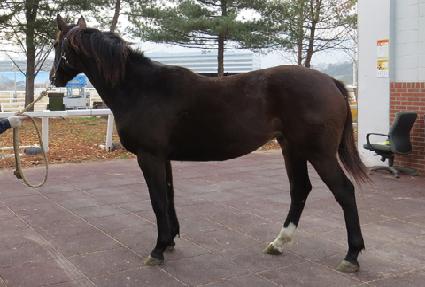 �����ö��� ����