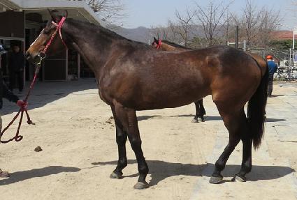 ����ٸ��� ����