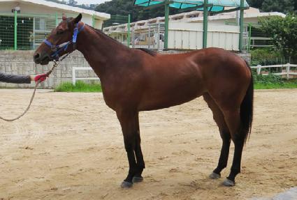 ���ξ� ����