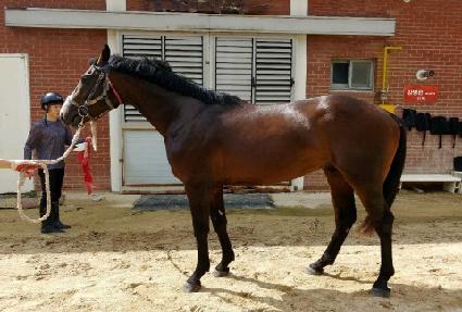 ������Ÿ ����