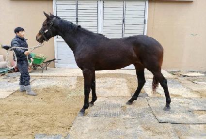 �������� ����