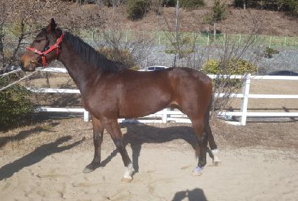 ���ִϵ��� ����