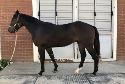 ����ŷ��Ÿ ����