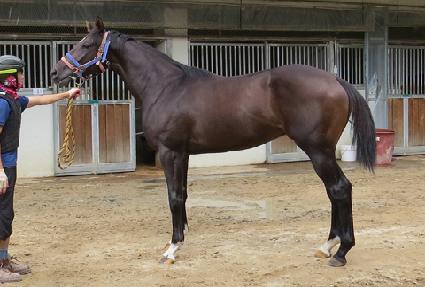 �븶��ǳ ����