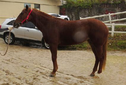 �ź� ����