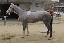 LIVINGINTHEMODERN picture