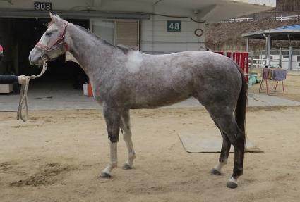 �����δ���� ����