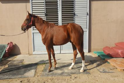 ü������ ����