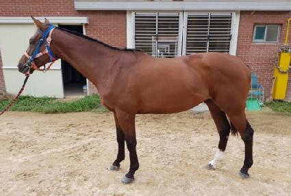 ��ȭ�ñ״��� ����