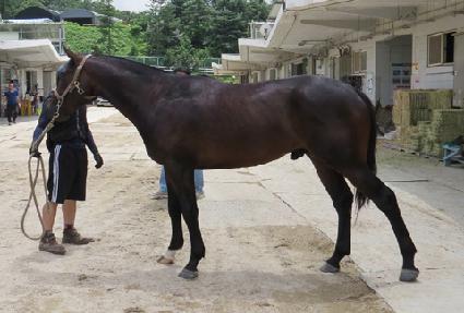 �Ŀ������̵� ����