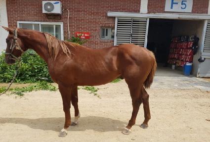 ����ö��� ����