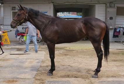 �ݺ����� ����