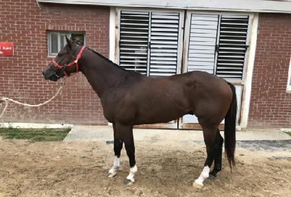 ���۱׷���Ʈ ����