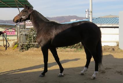 �������� ����