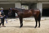 �߷��� (BAL ROE JA) ����