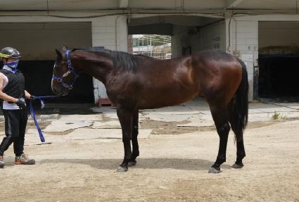 �߷��� ����