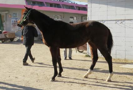 Ƽ���Ƽ ����