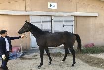 Ŭ���� (KLAATU) ����