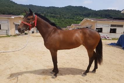 �������� ����