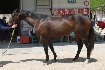 �ο����� ����