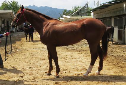 �۷ι����� ����