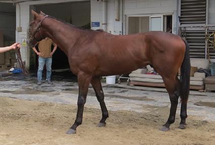 ����丱�� ����