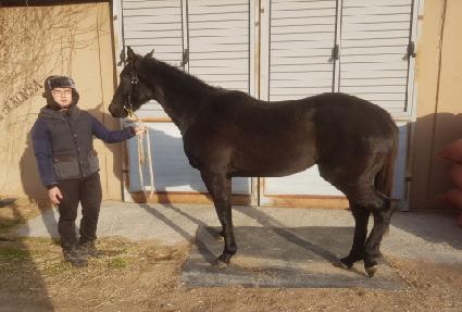 ���緱��Ƽ ����