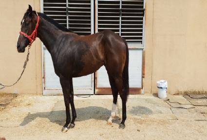 �����̻��� ����